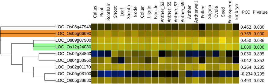 Color scale