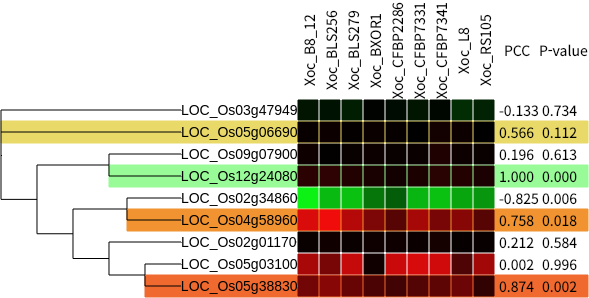 Color scale