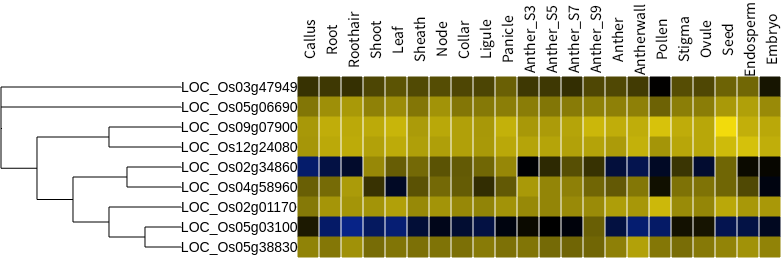 Color scale